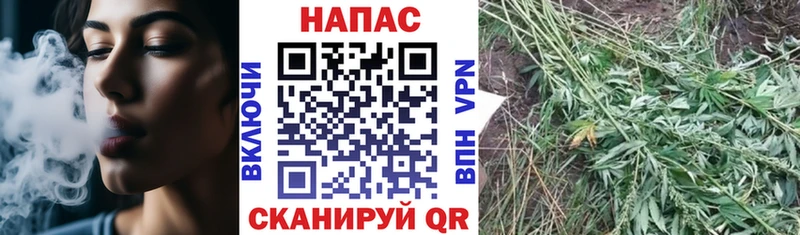 Купить Амфетамин  Кокаин  Мефедрон  ГАШИШ  СОЛЬ  Лесной