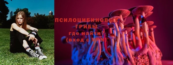 дмт Кинешма