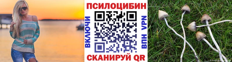 Купить где  Лесной  Псилоцибиновые грибы мухоморы 